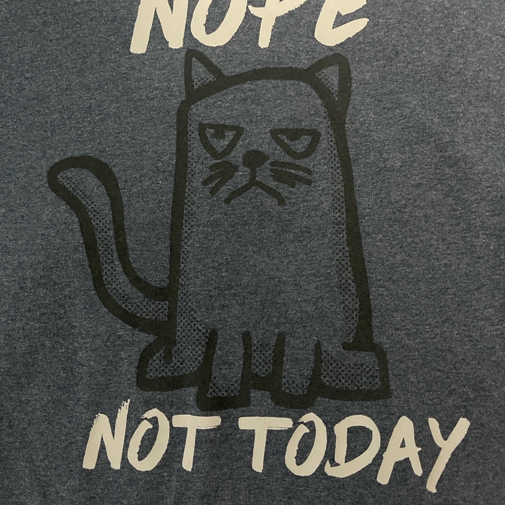 Nope Not Today Cat Graphic Jacket in Gray